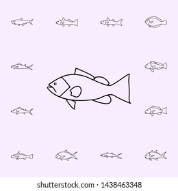 Gag Grouper Icon. Fish Icons Universal Set For Web And Mobile