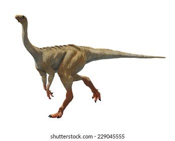 Gallimimus