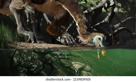 Gallimimus, Feathered Theropod Dinosaur Drinking At A Waterhole (3d Paleoart Render)  