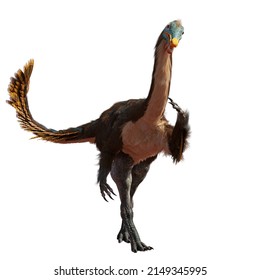 Gallimimus Feathered Theropod Dinosaur That Lived Stock Illustration 