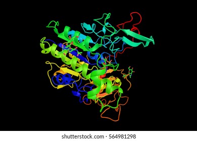 Galsufase (3d Structure), Used As A Pharmaceutical Drug. Associated With Mucopolysaccharidosis VI (Maroteauxâ??Lamy Syndrome).