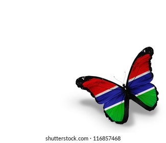 Jamaican Flag Butterfly Isolated On White Stock Illustration 106850396