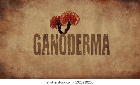 Ganoderma 4K Wallpaper