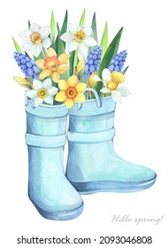 Garden boots with spring flowers on a white background. Daffodils, muscari, leaves. Watercolor illustration.