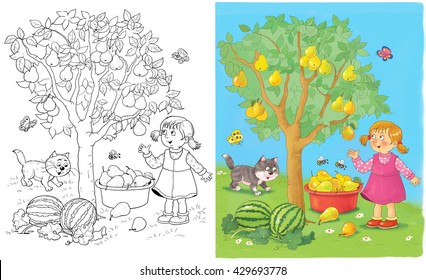 In the garden. A cute girl and her kitten are picking pears. Illustration for children. Coloring book. Coloring page. Funny cartoon characters. 