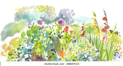 Garden Flower Bed. Watercolor Sketch.