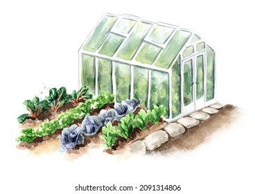 Garden Greenhouse, Vegetable Beds. Spring Work In The Garden. Hand Drawn Watercolor Illustration Isolated On White Background