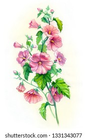 Garden Hollyhock Lcea Althea Rosea Bouquet Stock Illustration 1331343077