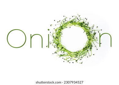 Garlic chives or scallion microgreen shoots shaped in circle with text. Green onion young sprouts. Superfood, healthy eating concept - Powered by Shutterstock