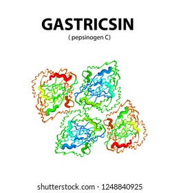 Gastric Juice Images, Stock Photos & Vectors | Shutterstock