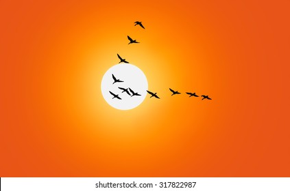 Geese are flying in v-formation in front of a red sky