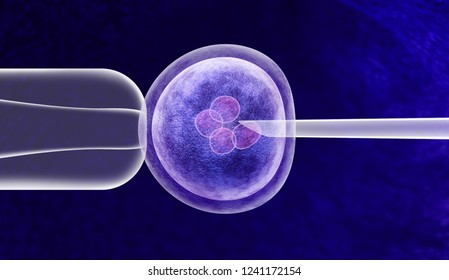 Gene Editing In Vitro Genetic CRISPR Genome Engineering Medical Biotechnology Health Care Concept With A Fertilized Human Egg Embryo And A Group Of Dividing Cells As A 3D Illustration.