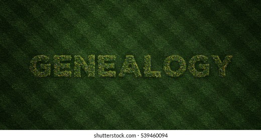 GENEALOGY - Fresh Grass Letters With Flowers And Dandelions - 3D Rendered Royalty Free Stock Image. Can Be Used For Online Banner Ads And Direct Mailers.
