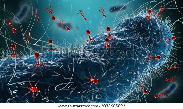 Generic\
bacteria such as Escherichia coli infected by group of phages or\
bacteriophages 3D rendering illustration. Microbiology, medicine,\
science, medical research, bacteriology,\
concept.