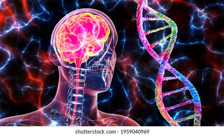 Genetic Brain Disorders, Conceptual 3D Illustration. Mutations In The DNA Leading To Brain Diseases. Neurogenetics, Neurodegenerative Disorders