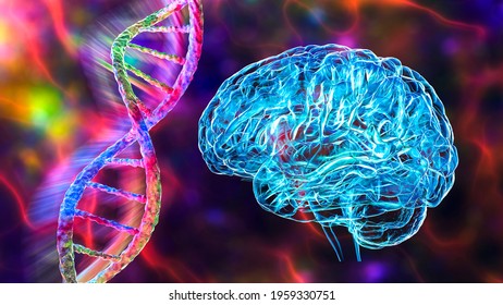 Genetic Brain Disorders, Conceptual 3D Illustration. Mutations In The DNA Leading To Brain Diseases. Neurogenetics, Neurodegenerative Disorders