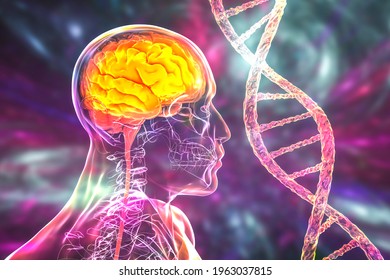 Genetic Brain Disorders, Conceptual 3D Illustration. Mutations In The DNA Leading To Brain Diseases. Neurogenetics, Neurodegenerative Disorders