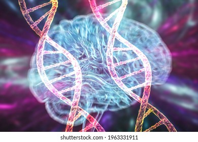 Genetic Brain Disorders, Conceptual 3D Illustration. Mutations In The DNA Leading To Brain Diseases. Neurogenetics, Neurodegenerative Disorders