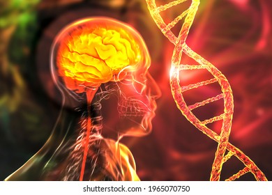 Genetic Brain Disorders, Conceptual 3D Illustration. Mutations In The DNA Leading To Brain Diseases. Neurogenetics, Neurodegenerative Disorders