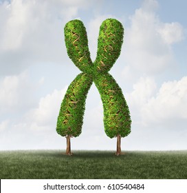 Genetic health concept as a tree shaped as a chromosome with branches shaped as dna double helix strand as a microbiology medical science and biotechnology metaphor with 3D illustration elements.