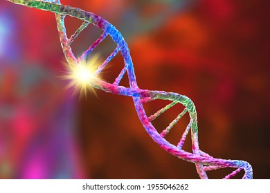 Genetic Mutation, Conceptual 3D Illustration. Double Stranded DNA Molecule With Mutation In A Gene. Concept For Genetic Disorder. Destroyed Human Genome. DNA Destruction And Gene Mutation