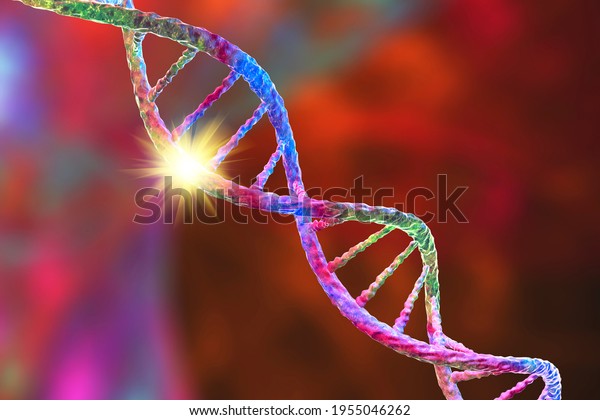 Genetic\
mutation, conceptual 3D illustration. Double stranded DNA molecule\
with mutation in a gene. Concept for genetic disorder. Destroyed\
human genome. DNA destruction and gene\
mutation