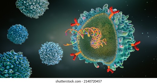 Genetically Engineered Chimeric Antigen Receptor Immune Cell With Implanted Mrna Gene Strand - 3d Illustration
