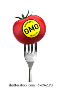 Genetically Modified Food