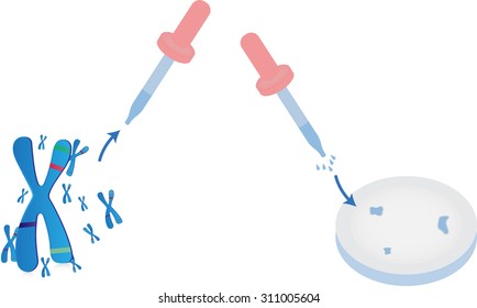 Genetics Lab