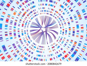 Genome infographic. Dna sequence visualization, genetic mapping, gene barcoding. Abstract chromosome map diagram, genetics analysis  concept. Circular network colorful structure