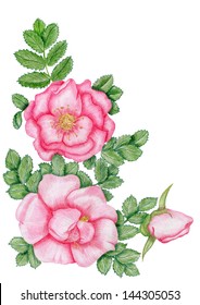 Gentle floral corner with dog-roses