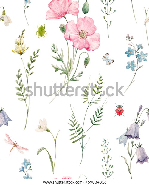 Gentle Watercolor Floral Pattern Pink Poppy Stock Illustration ...