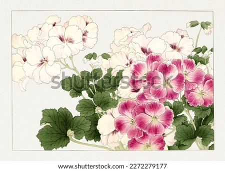 Geranium flower. Japanese style flower illustration.
