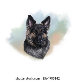 Shepherd Watercolor Hd Stock Images Shutterstock