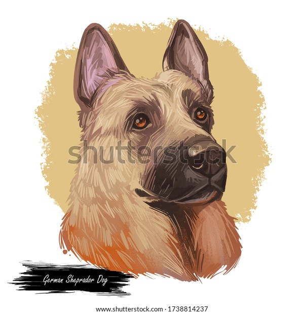 ドイツのシプラドール犬のデジタルアートイラスト 手描きの犬の口輪ポートレート 子犬の可愛いペット 犬は アメリカから来た種を産む ラブラドール レトリーバーとドイツのシェパードの雑種 のイラスト素材