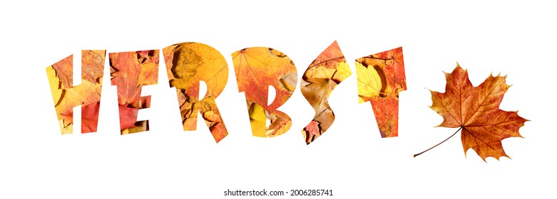 German word Herbst ( engl. Autumn) from fallen  leaves isolated on white. Fall background banner. 3D illustration