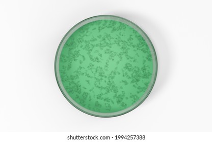 The Germs In The Petri Dish, 3d Rendering. Computer Digital Drawing.