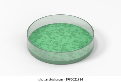 The Germs In The Petri Dish, 3d Rendering. Computer Digital Drawing.