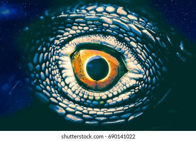 Royalty Free Reptile Eye Stock Images Photos Vectors Shutterstock