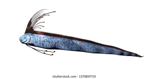 Giant Oarfish (Regalecus Glesne) Isolated On White Background, 3d Rendering