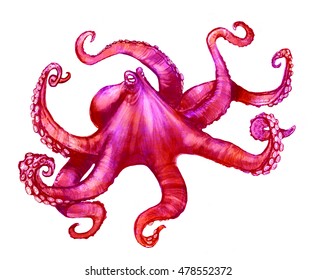 Octopus art. 