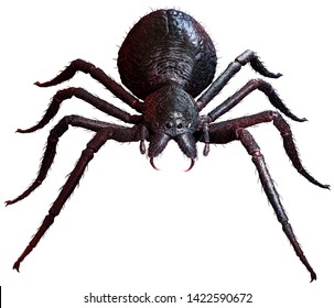 Giant Spider top view 3D illustration