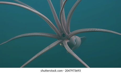 Giant Squid, Deep Sea, 3D Rendered