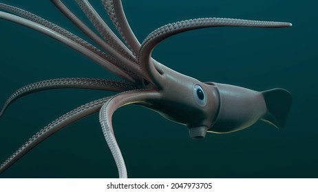 Giant Squid, Deep Sea, 3D Rendered