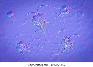bacterii giardia lambia)