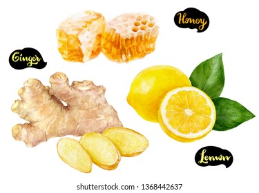 Ginger Honey Lemon Watercolor Hand Drawn Illustration