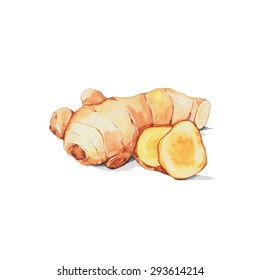 Ginger, Watercolor Painting Isolated On White Background.