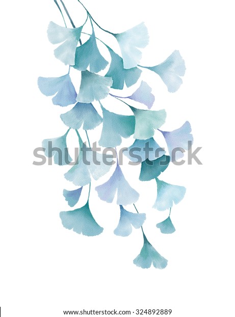 白い背景にイチョウの水色緑の青の葉花柄の装飾的な描画イラスト 結婚式の招待状 カード春の夏の熱帯植物のビンテージデザイン のイラスト素材