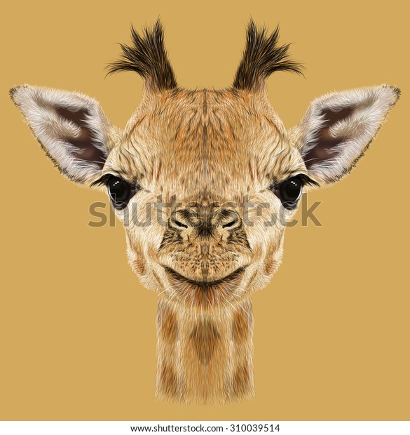 キリンの動物の顔 アフリカのキリンの絵入りのかわいい頭 タンの背景にリアルなサバンナの野生の毛皮のキリンのポートレート のイラスト素材 310039514