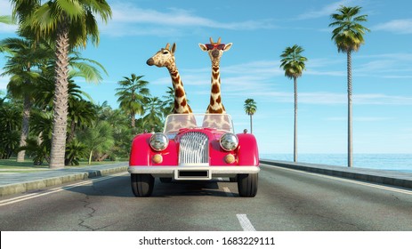 Giraffe couple in a retro car . Safari trip concept . This is a 3d render illustration . 